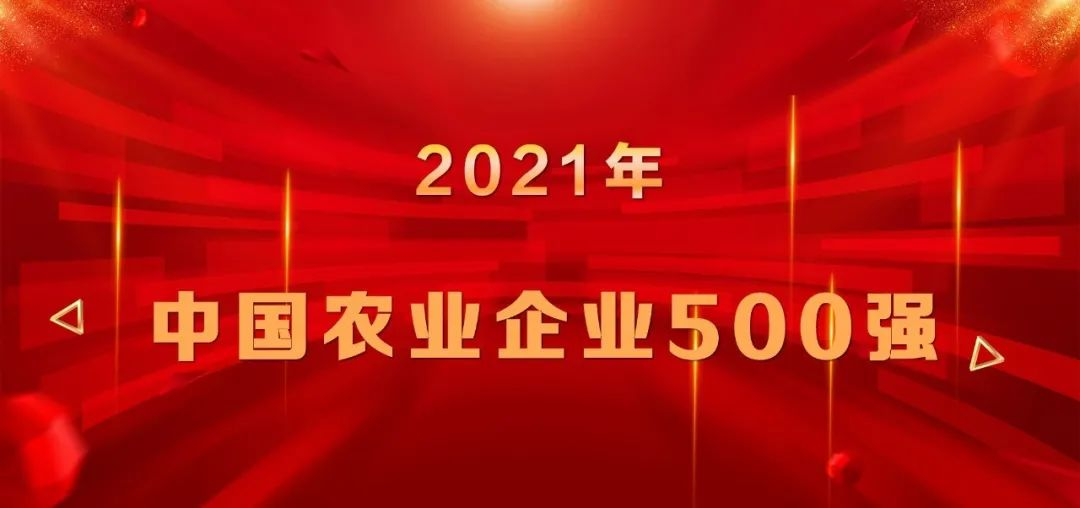 上榜|山东EBET易博网站集团再登中国农业企业500强榜单