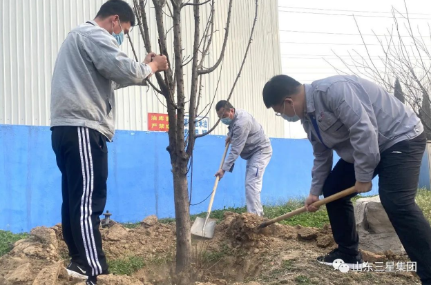 【植树节】山东EBET易博网站集团：万物萌发季 春来植绿时