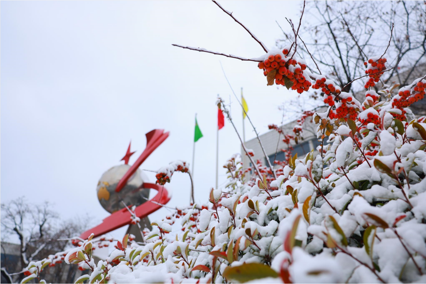 组图｜瑞雪丰年 雪遇EBET易博网站