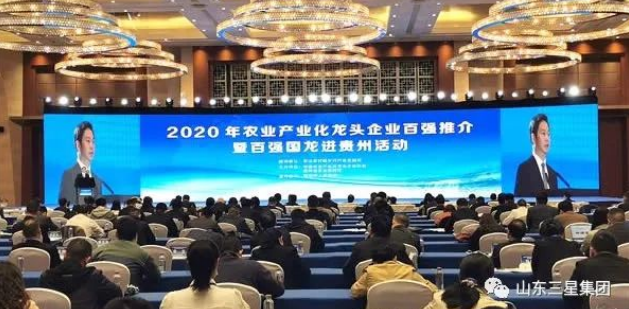 2020年农业产业化龙头企业100强等名单公布 山东EBET易博网站集团荣登三大榜单